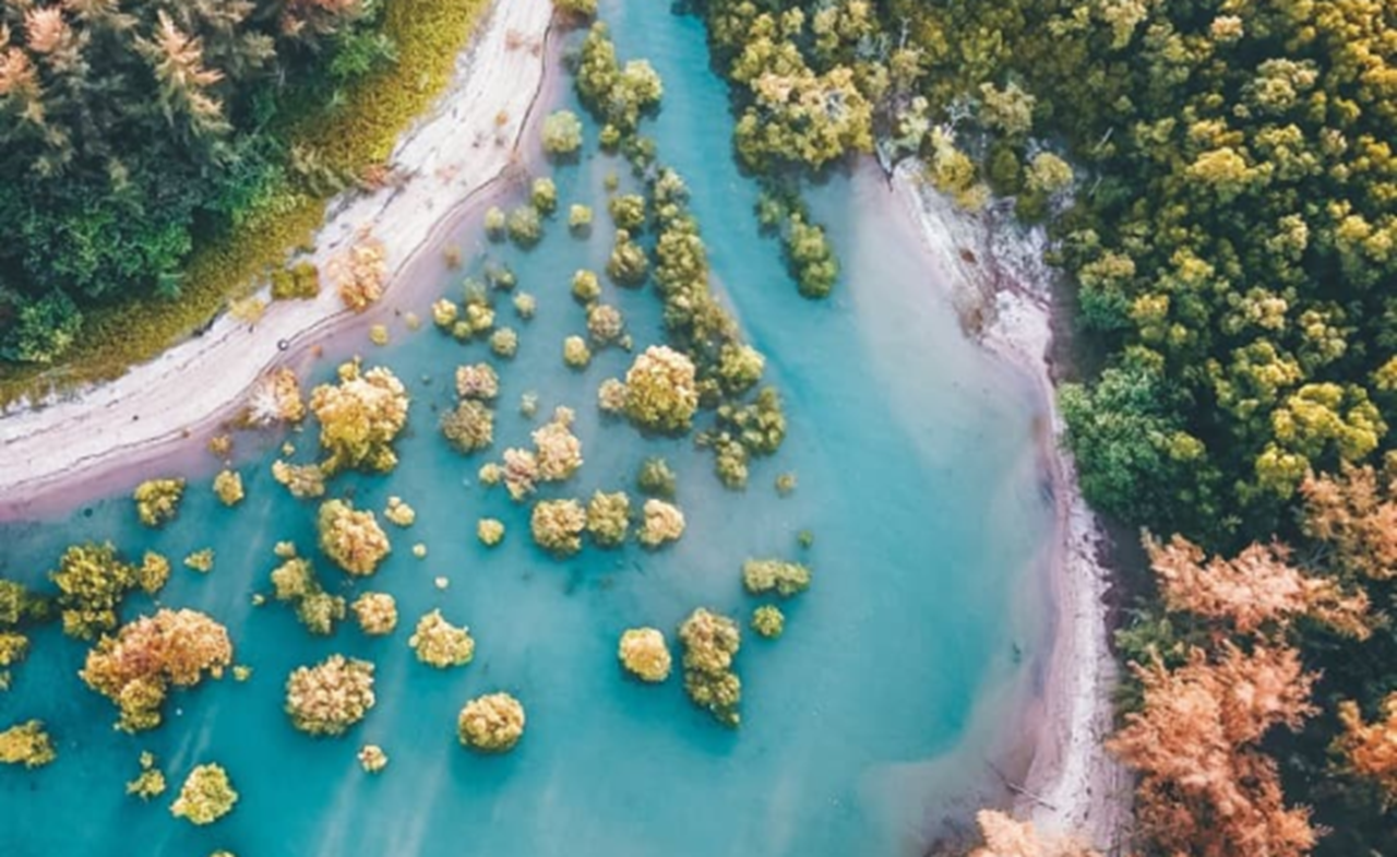 Climate action