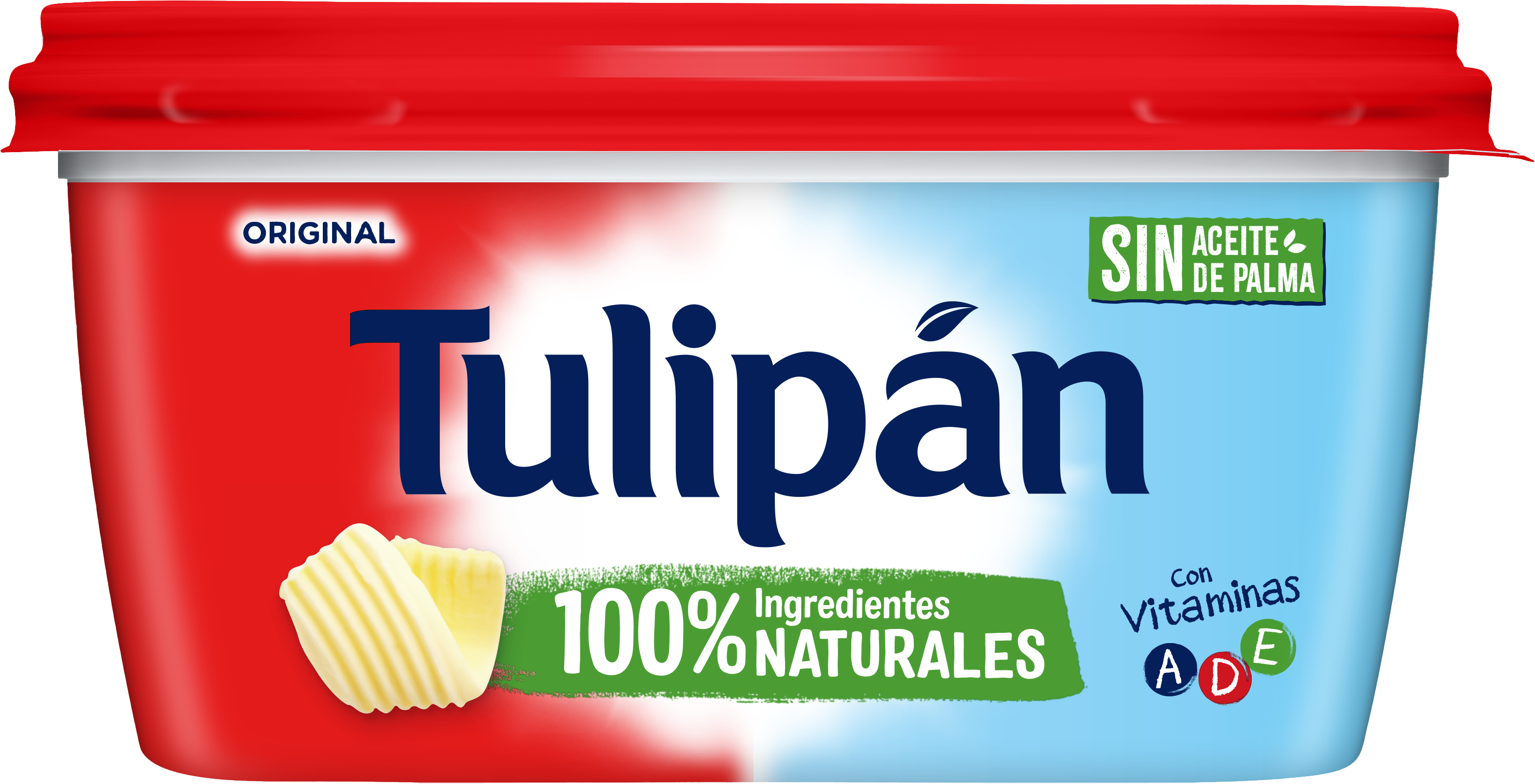 Tulipan